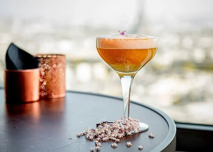 Hyatt Regency Etoile 4*