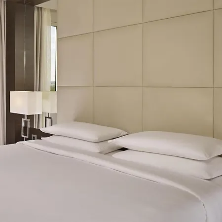 Hotel Hyatt Regency Etoile